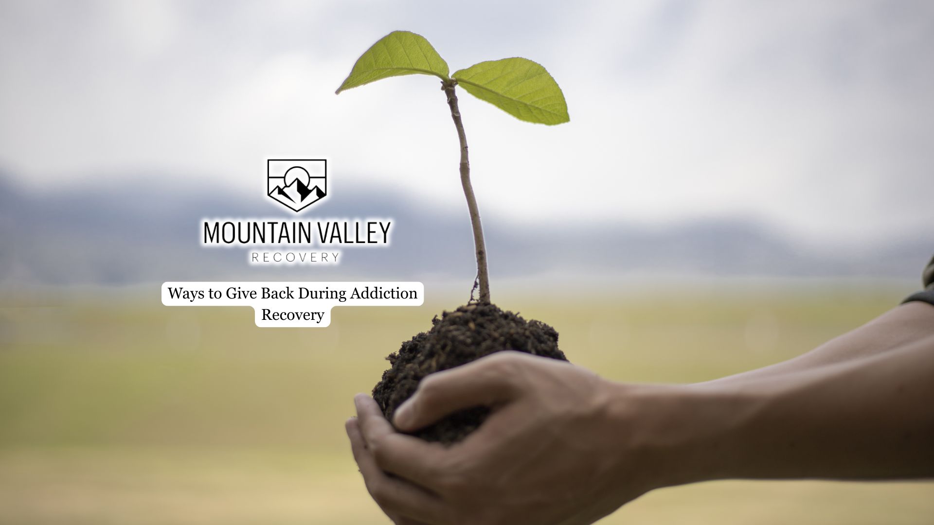 volunteering in addiction recovery