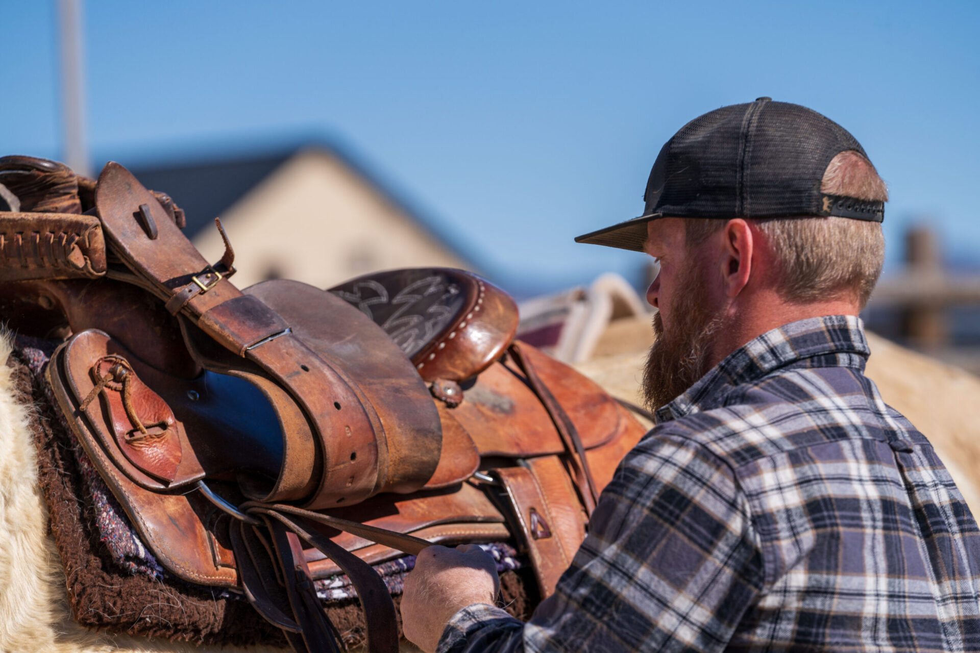 Fixing The Saddle of a Horse