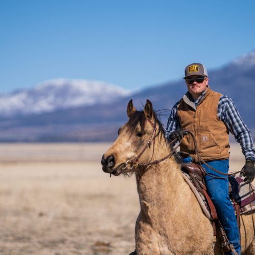 Equine assisted Therapy For Addiction