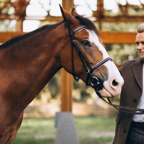 Equine therapy for substance abuse